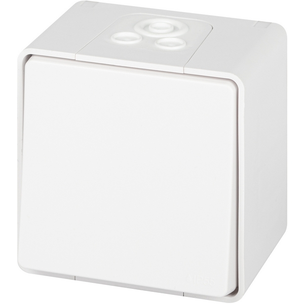 Выключатель накладной одноклавишный (белый) IP55 ЭРА 11-1501-01, 11-1501-01
Выключатель накладной одноклавишный (белый) IP55 ЭРА 11-1501-01, 11-1501-01