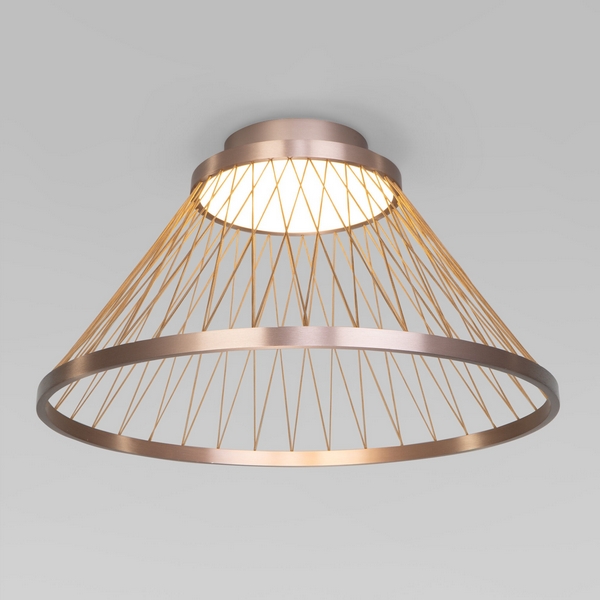 Потолочный светильник Eurosvet Cesta 40019/1 LED коричневый, Cesta 40019/1 LED коричневый
Потолочный светильник Eurosvet Cesta 40019/1 LED коричневый, Cesta 40019/1 LED коричневый