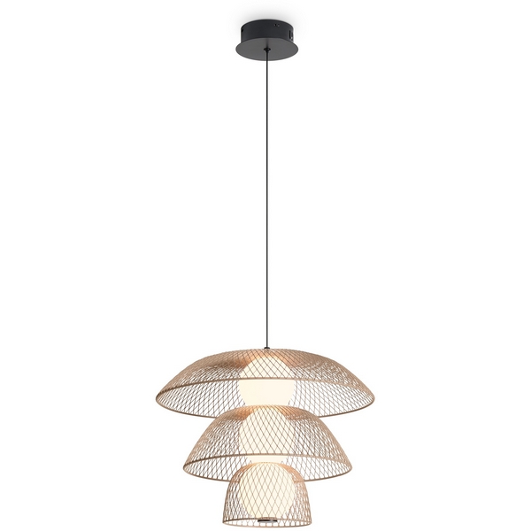 Подвесной светодиодный светильник Freya Harper FR5545PL-L5BG, Бежевый, Harper FR5545PL-L5BG
Подвесной светодиодный светильник Freya Harper FR5545PL-L5BG, Бежевый, Harper FR5545PL-L5BG