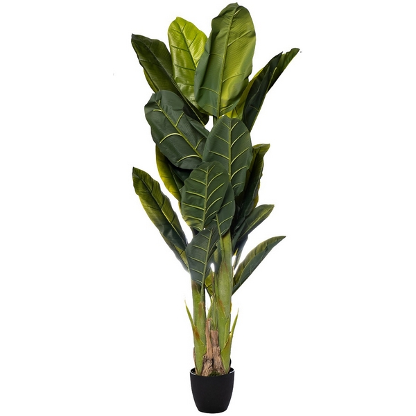 Банановый куст в горшке h180 см Garda Decor 29BJ-803-30, 29BJ-803-30
Банановый куст в горшке h180 см Garda Decor 29BJ-803-30, 29BJ-803-30