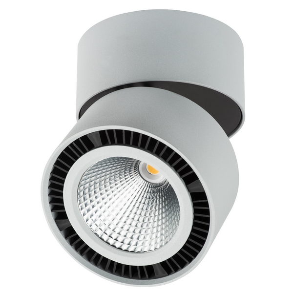 Светодиодный точечный накладной светильник Lightstar FORTE MURO 214859, FORTE MURO 214859
Светодиодный точечный накладной светильник Lightstar FORTE MURO 214859, FORTE MURO 214859