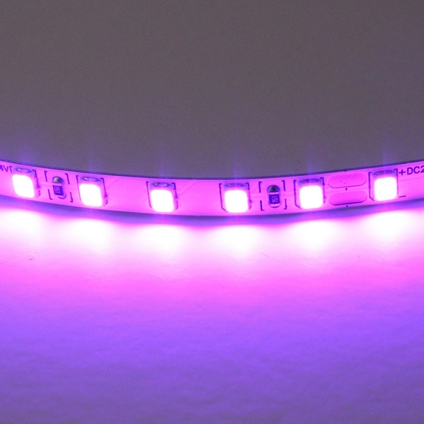 Светодиодная лента цветного свечения 24V, фиолетовый Lightstar 420518, Lightstar 420518
Светодиодная лента цветного свечения 24V, фиолетовый Lightstar 420518, Lightstar 420518