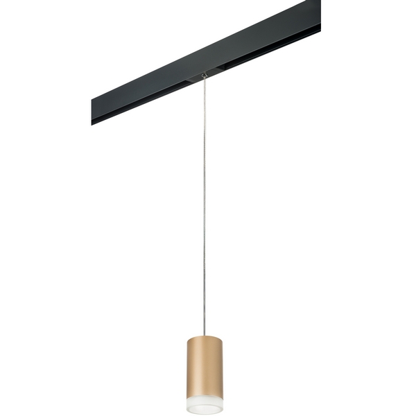 Трековый светильник однофазный 220V Lightstar Rullo PRORP44030, Золото, RULLO PRORP44030
Трековый светильник однофазный 220V Lightstar Rullo PRORP44030, Золото, RULLO PRORP44030