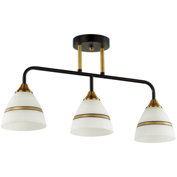 Потолочная люстра на штанге черный, бронзовый E27 3*60W Lumion Nettie 5214/3CA, Nettie 5214/3CA
Потолочная люстра на штанге черный, бронзовый E27 3*60W Lumion Nettie 5214/3CA, Nettie 5214/3CA