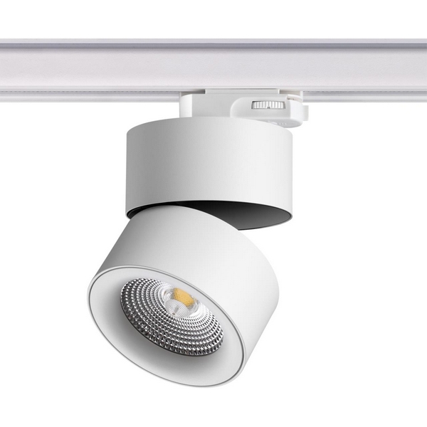 Трехфазный трековый светильник 220V светодиодный Novotech Groda 358788, Белый, Groda 358788
Трехфазный трековый светильник 220V светодиодный Novotech Groda 358788, Белый, Groda 358788