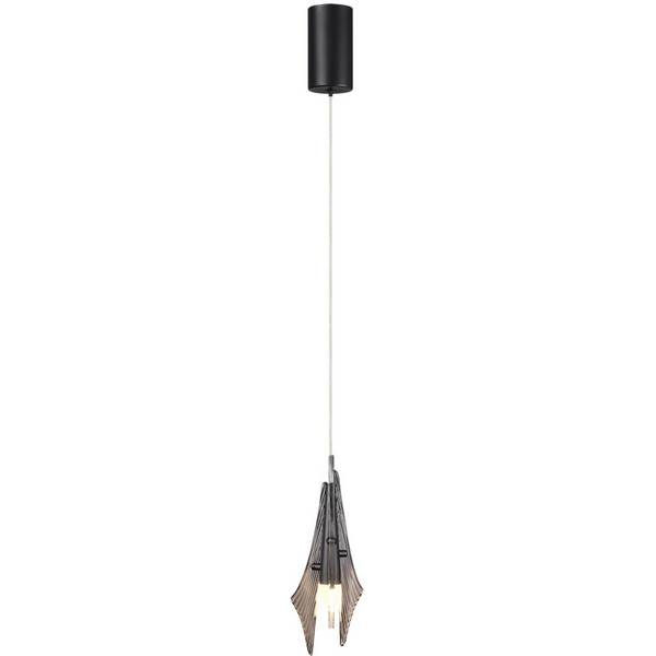 Подвесной светильник Odeon Light Afalina 5442/6L черный/дымчатый/металл/стекло/акрил LED 6W 3000K, Afalina 5442/6L
Подвесной светильник Odeon Light Afalina 5442/6L черный/дымчатый/металл/стекло/акрил LED 6W 3000K, Afalina 5442/6L