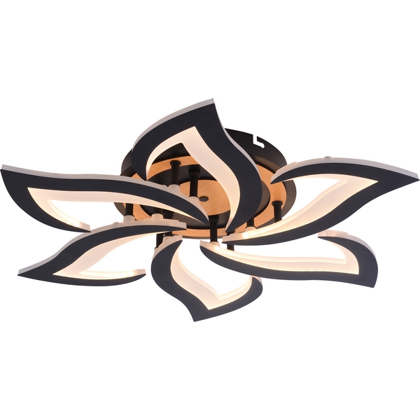 Потолочная люстра светодиодная Rivoli Cassandra 6194-733 LED 3000-6250К 84 Вт с пультом, Черный, Cassandra 6194-733
Потолочная люстра светодиодная Rivoli Cassandra 6194-733 LED 3000-6250К 84 Вт с пультом, Черный, Cassandra 6194-733