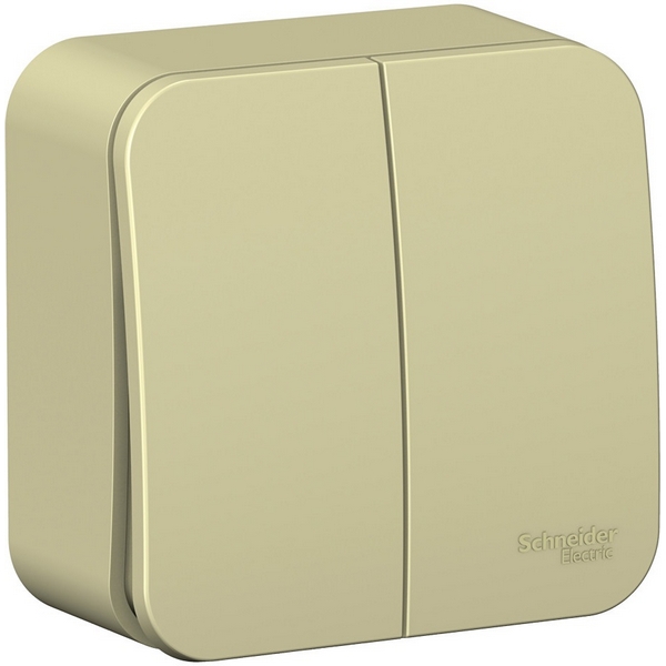 Выключатель двухклавишный (бежевый) Systeme Electric Blanca BLNVA105017, Blanca BLNVA105017
Выключатель двухклавишный (бежевый) Systeme Electric Blanca BLNVA105017, Blanca BLNVA105017