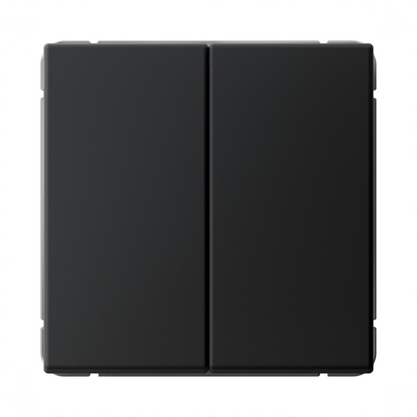 Переключатель двухклавишный (карбон) Systeme Electric GAL001065S, Черный, GAL001065S
Переключатель двухклавишный (карбон) Systeme Electric GAL001065S, Черный, GAL001065S