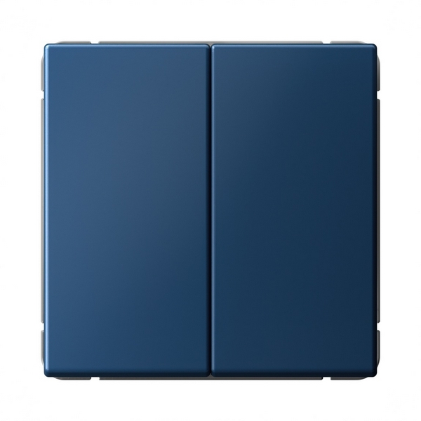 Выключатель двухклавишный (аквамарин) Systeme Electric GAL001117, Синий, GAL001117
Выключатель двухклавишный (аквамарин) Systeme Electric GAL001117, Синий, GAL001117