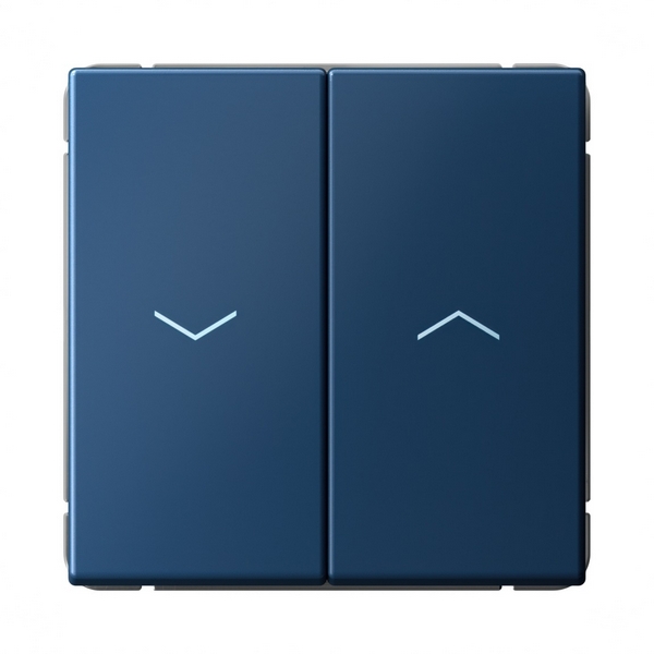 Выключатель жалюзи двухклавишный (аквамарин) Systeme Electric GAL001119, Синий, GAL001119
Выключатель жалюзи двухклавишный (аквамарин) Systeme Electric GAL001119, Синий, GAL001119