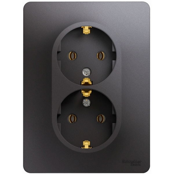 Розетка двойная с заземлением (графит) Systeme Electric Glossa GSL001324, Черный, Glossa GSL001324
Розетка двойная с заземлением (графит) Systeme Electric Glossa GSL001324, Черный, Glossa GSL001324