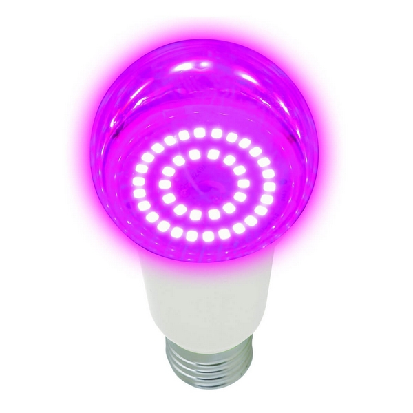 Лампочка светодиодная для растений LED-A60-14W/SPSB/E27/CL PLP30WH Uniel, LED-A60-14W/SPSB/E27/CL PLP30WH
Лампочка светодиодная для растений LED-A60-14W/SPSB/E27/CL PLP30WH Uniel, LED-A60-14W/SPSB/E27/CL PLP30WH