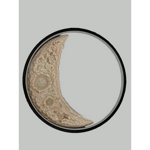 Изображение товара Настенный светильник светодиодный луна Alfa Light F0324-40