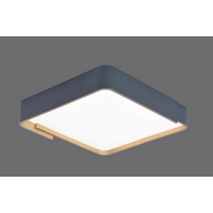 Изображение товара Потолочный светильник LED Alfa Light F0724-36