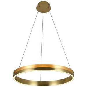 Изображение товара Подвесной светильник с гибким неоном Alfa Light F3924-75 кольцо