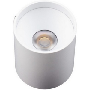 Изображение товара Точечный светильник AM Group AM481 WH+WH 10W