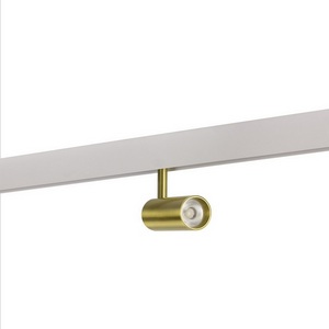 Изображение товара Трековый светильник 48V светодиодный магнитный AM Group MAGNET CYLINDER MAGNET AM429 CX-B11-10W-4000K Copper