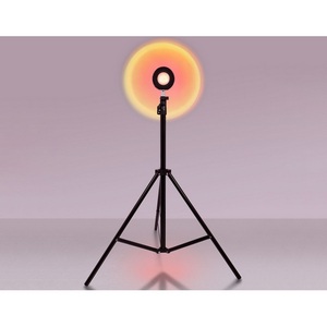 Изображение товара Настольная лампа с дистанционным управлением RGB светодиодная с пультом управления Ambrella DESK DE8387