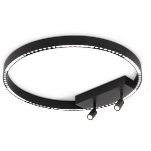 Изображение товара Потолочный светильник круглый с направленным светом светодиодный Ambrella Comfort FL5808