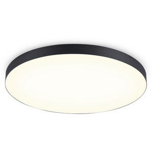 Изображение товара Потолочный светодиодный светильник круглый Ambrella Orbital Air Alum FV5541