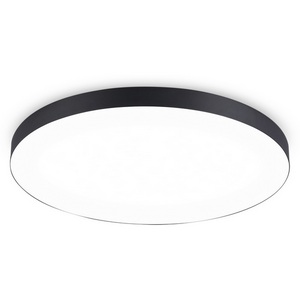 Изображение товара Потолочный светодиодный светильник круглый Ambrella Orbital Air Alum FV5542