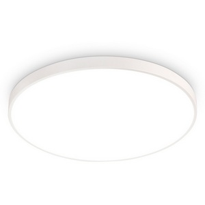 Изображение товара Потолочный светильник влагозащищенный круглый светодиодный Ambrella Orbital FZ1200