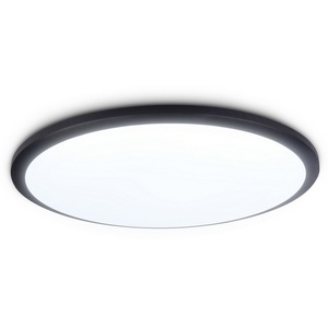 Изображение товара Потолочный светильник влагозащищенный ip44 Ambrella Orbital Air FZ1235