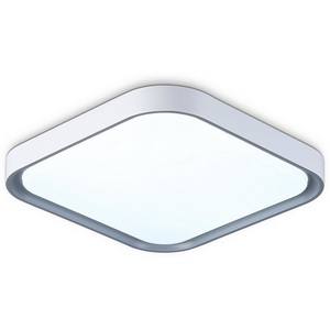 Изображение товара Потолочный светильник светодиодный Ambrella Orbital FZ1250