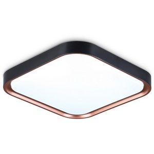 Изображение товара Потолочный светильник светодиодный Ambrella Orbital FZ1265