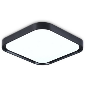 Изображение товара Потолочный светильник светодиодный Ambrella Orbital FZ1268