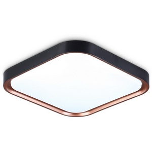 Изображение товара Потолочный светильник светодиодный Ambrella Orbital FZ1271