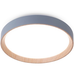 Изображение товара Потолочный светильник круглый с пультом светодиодный Ambrella Orbital FZ1320