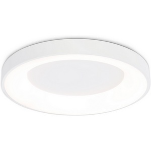 Изображение товара Потолочный светильник светодиодный с пультом и регулировкой цветовой температуры Ambrella ORBITAL FZ1401