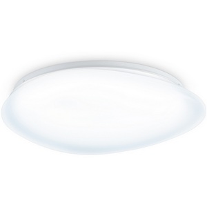 Изображение товара Потолочный светодиодный светильник Ambrella Orbital FZ1605 FR матовый IP20 60W 5000K