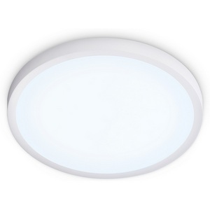 Изображение товара Потолочный светильник влагозащищенный настенно-потолочны светодиодный Ambrella ORBITAL FZ1951