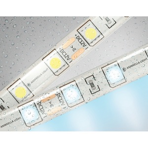 Изображение товара Светодиодная лента влагозащищенная Ambrella Illumination GS2103 5050 60Led 14.4W/m 12V IP65 6500K 5m
