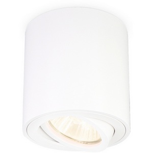 Изображение товара Точечный накладной светильник Ambrella Techno Spot TN22701