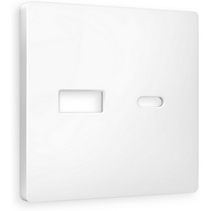 Изображение товара Лицевая панель Ambrella Volt ALFA (Белый матовый) для розетки 2USB A+C QUANT AP1310