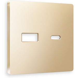 Изображение товара Лицевая панель Ambrella Volt ALFA (Шампань) для розетки 2USB тип A+C QUANT AP6110