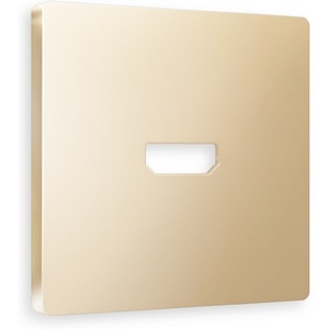 Изображение товара Лицевая панель Ambrella Volt ALFA (Шампань) для HDMI розетки QUANT AP6140