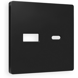 Изображение товара Лицевая панель Ambrella Volt ALFA (Черный матовый) для розетки 2USB тип A+C QUANT AP8110