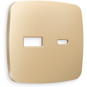 Изображение товара Лицевая панель Ambrella Volt OMEGA (Шампань) для розетки 2USB тип A+C QUANT OP6110
