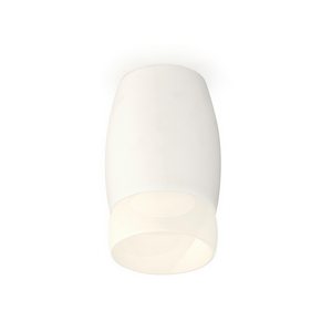 Изображение товара Накладной светильник светодиодный Ambrella XS XS1122024