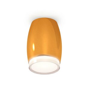 Изображение товара Накладной светильник светодиодный Ambrella XS1125021