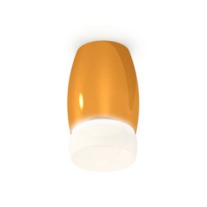 Изображение товара Накладной светильник светодиодный Ambrella XS1125023