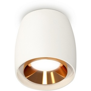 Изображение товара Накладной светильник светодиодный Ambrella Techno Spot XS1141004