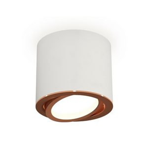 Изображение товара Накладной светильник светодиодный Ambrella Techno XS7401005