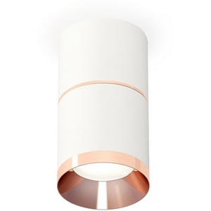 Изображение товара Накладной светильник светодиодный Ambrella Techno Spot XS7401221