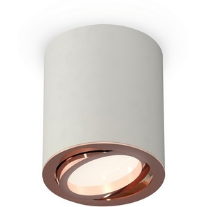 Изображение товара Накладной светильник светодиодный Ambrella Techno Spot XS7423023